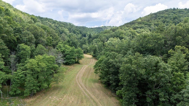 22590 Criders Rd, Criders, VA 22820 - photo 6