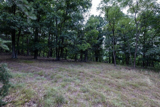 22590 Criders Rd, Criders, VA 22820 - photo 62