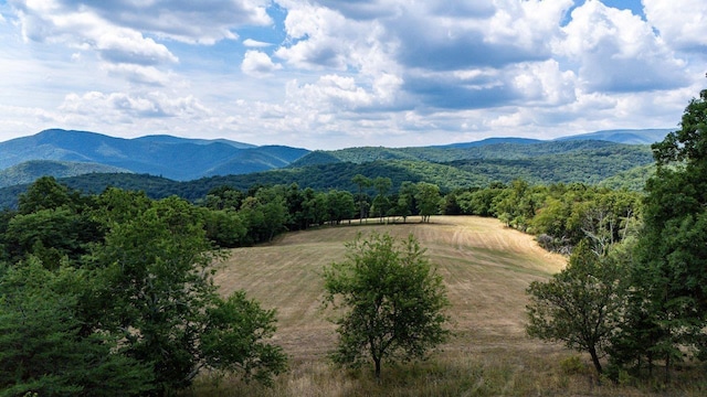 22590 Criders Rd, Criders, VA 22820 - photo 41