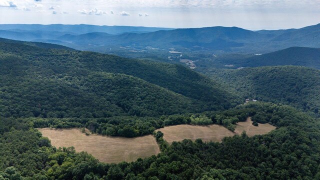 22590 Criders Rd, Criders, VA 22820 - photo 21