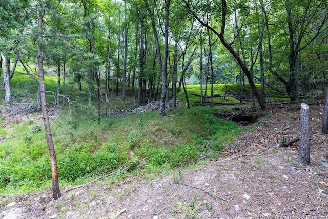 22590 Criders Rd, Criders, VA 22820 - photo 58