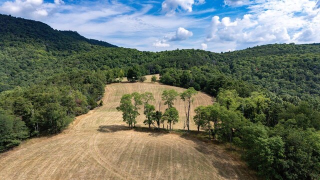 22590 Criders Rd, Criders, VA 22820 - photo 33