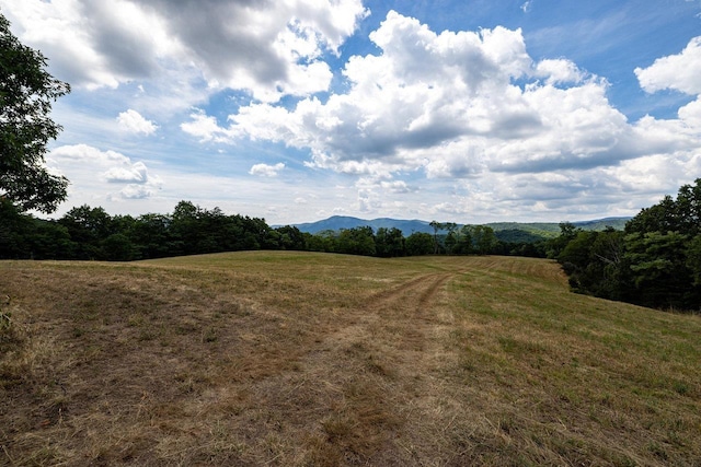 22590 Criders Rd, Criders, VA 22820 - photo 45
