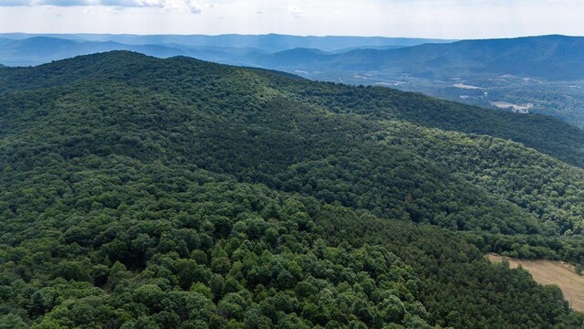 22590 Criders Rd, Criders, VA 22820 - photo 25