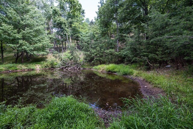 22590 Criders Rd, Criders, VA 22820 - photo 56