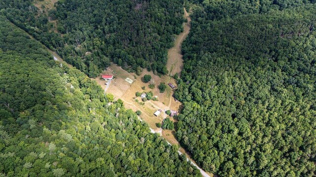 22590 Criders Rd, Criders, VA 22820 - photo 2