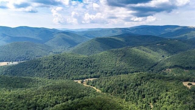 22590 Criders Rd, Criders, VA 22820 - photo 14