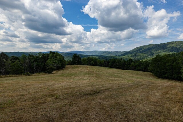 22590 Criders Rd, Criders, VA 22820 - photo 37