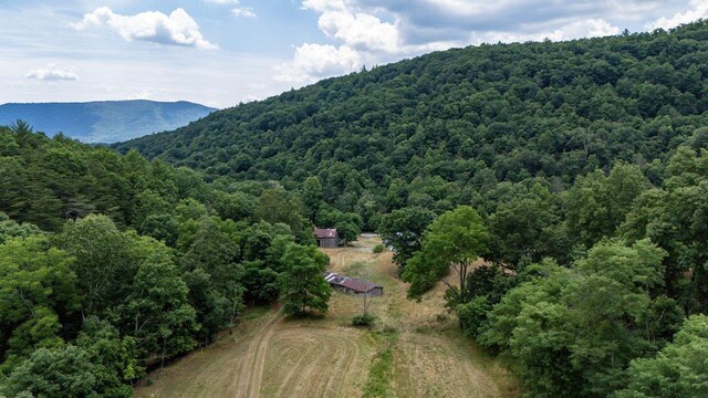 22590 Criders Rd, Criders, VA 22820 - photo 5