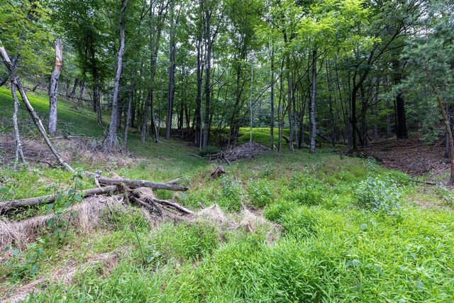 22590 Criders Rd, Criders, VA 22820 - photo 60