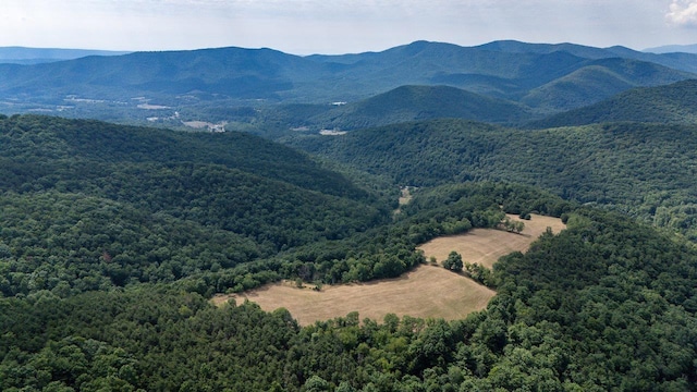 22590 Criders Rd, Criders, VA 22820 - photo 20