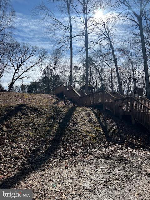 view of yard featuring a wooden deck