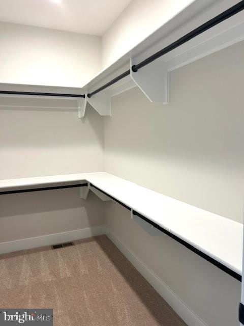 walk in closet with carpet