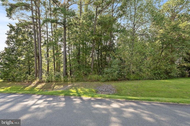 11520 General Wadsworth Dr, Spotsylvania, VA 22551 - photo 10