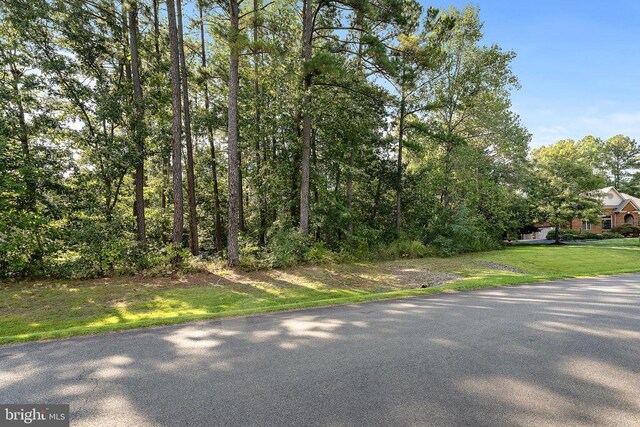 11520 General Wadsworth Dr, Spotsylvania, VA 22551 - photo 11