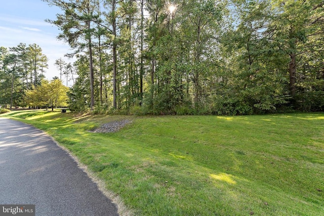 11520 General Wadsworth Dr, Spotsylvania, VA 22551 - photo 14
