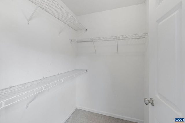 921 Bing Ln, Charlottesville, VA 22903 - spacious closet with light colored carpet