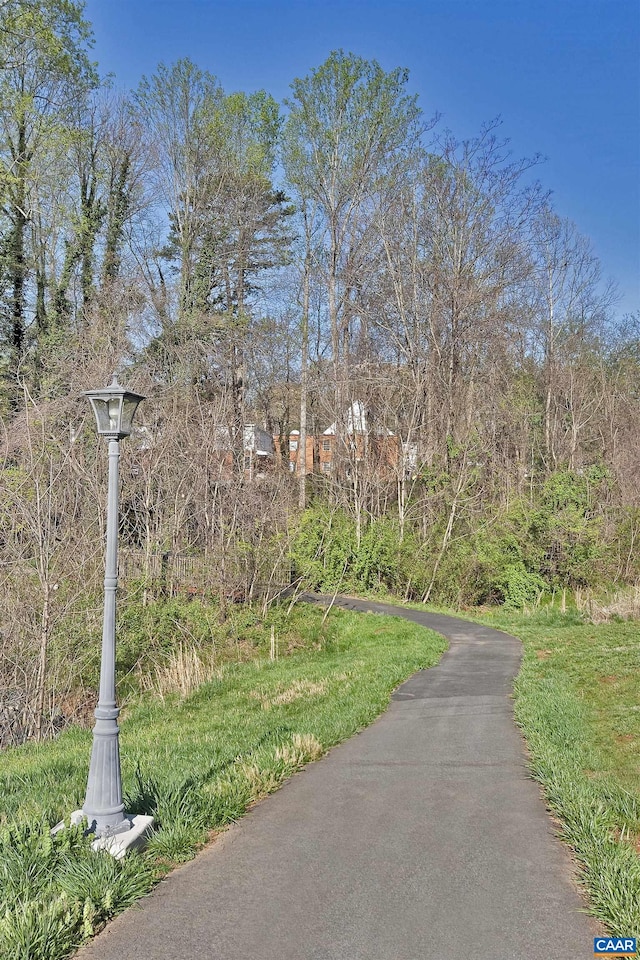 921 Bing Ln, Charlottesville, VA 22903 - view of community