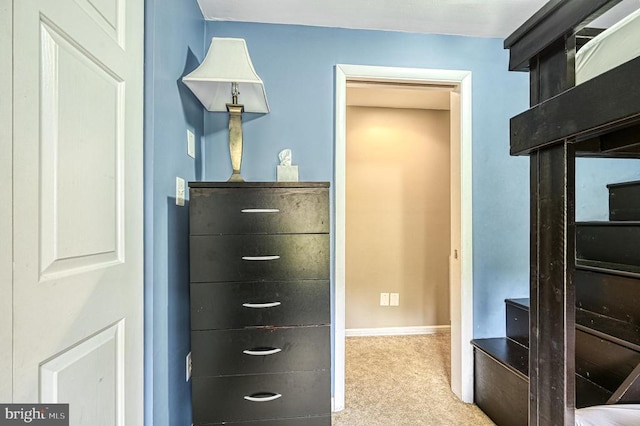 walk in closet with carpet floors