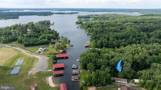 aerial view of a nearby body of water and a forest
