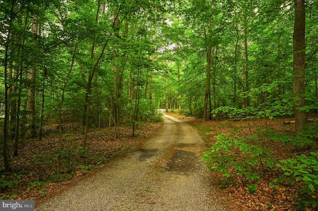 view of dirt / gravel road with a view of trees