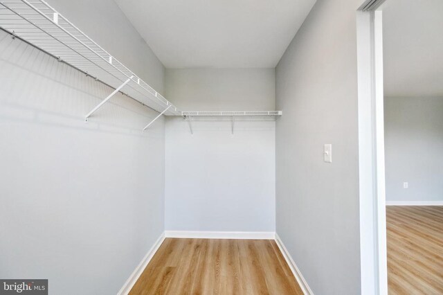 2029 Crepe Myrtle Ln, Culpeper, VA 22701 - photo 22