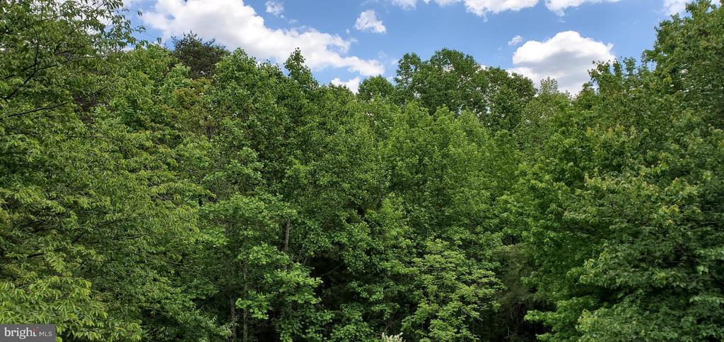 Jefferson Davis Hwy, Spotsylvania, VA 22553 - photo 2