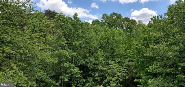Jefferson Davis Hwy, Spotsylvania, VA 22553 - photo 2