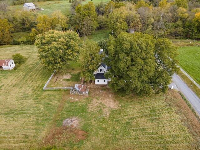 bird's eye view