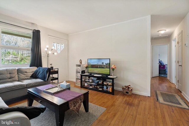 571 Richmond Rd, Amissville, VA 20106 - photo 5