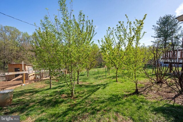 571 Richmond Rd, Amissville, VA 20106 - photo 17