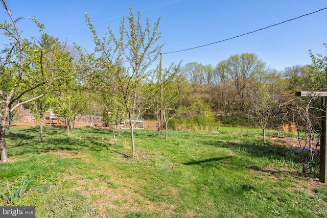 571 Richmond Rd, Amissville, VA 20106 - photo 18