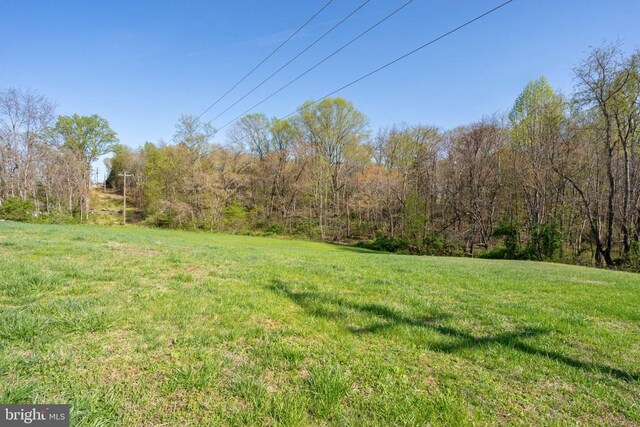 571 Richmond Rd, Amissville, VA 20106 - photo 19