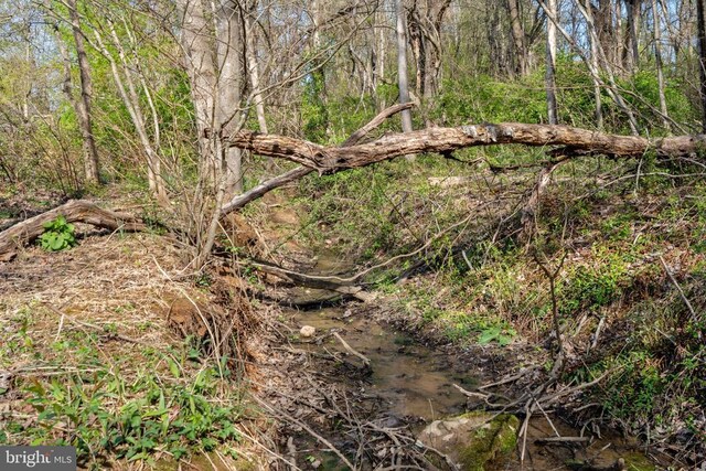 571 Richmond Rd, Amissville, VA 20106 - photo 22