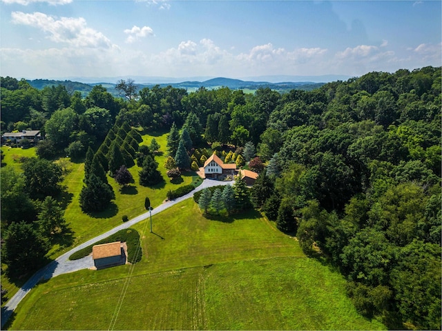 613 Dices Spring Rd, Weyers Cave, VA 24486 - aerial view of property and surrounding area featuring a forest