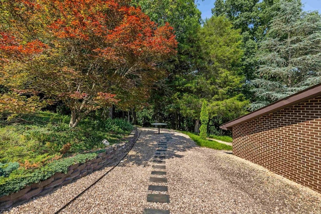 613 Dices Spring Rd, Weyers Cave, VA 24486 - view of yard