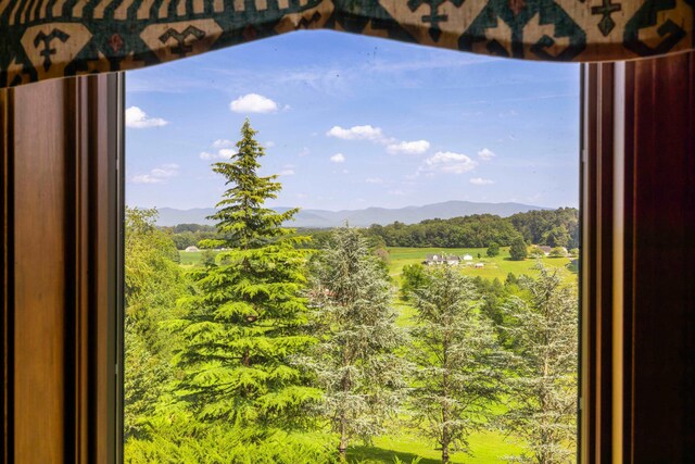 613 Dices Spring Rd, Weyers Cave, VA 24486 - view of mountain backdrop