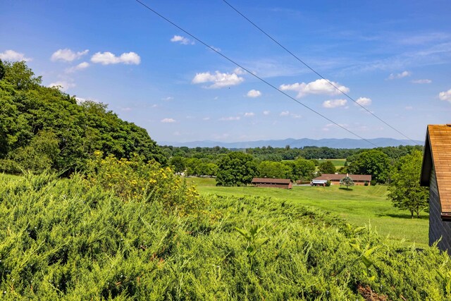 613 Dices Spring Rd, Weyers Cave, VA 24486 - view of mountain backdrop featuring a forest