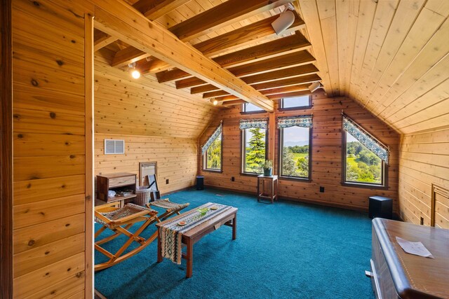 613 Dices Spring Rd, Weyers Cave, VA 24486 - bonus room featuring wooden walls, wooden ceiling, and carpet