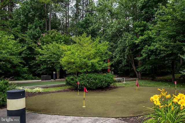 10207 Iverson Ave, Fredericksburg, VA 22407 - surrounding community with an area to practice putting