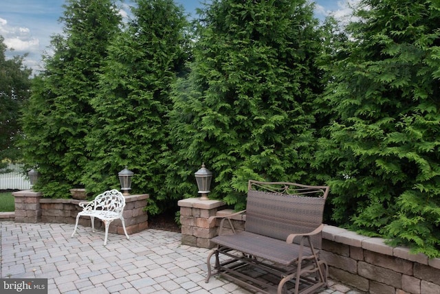 10207 Iverson Ave, Fredericksburg, VA 22407 - view of patio / terrace