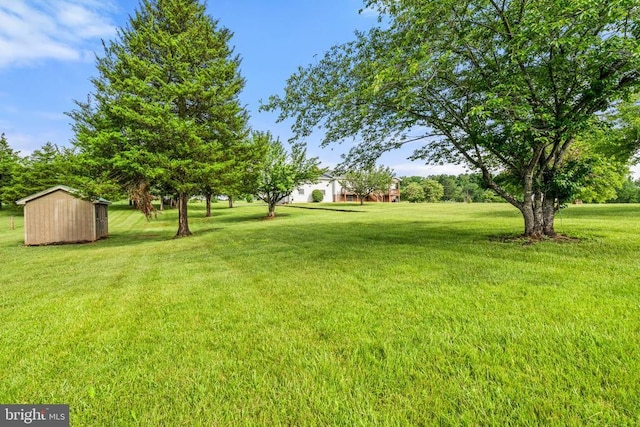view of green lawn with a storage shed and an outbuilding