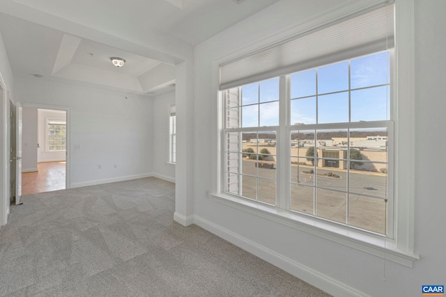 empty room with baseboards, carpet flooring, and a tray ceiling