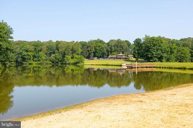 13004 Jacksons Ford Rd, Spotsylvania, VA 22551 - photo 58