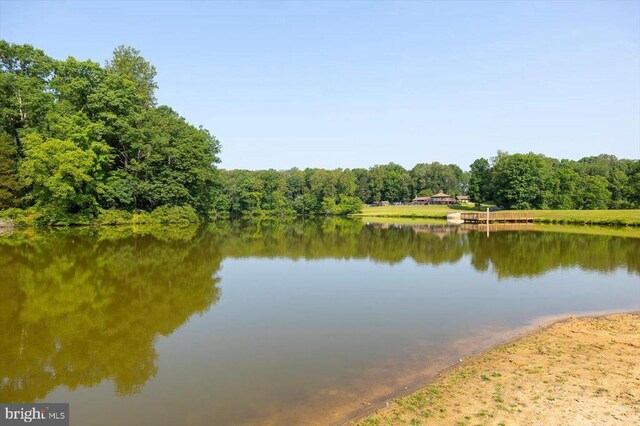 13004 Jacksons Ford Rd, Spotsylvania, VA 22551 - photo 59