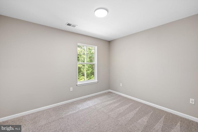 13004 Jacksons Ford Rd, Spotsylvania, VA 22551 - photo 39
