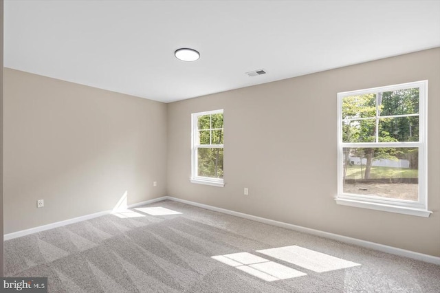 13004 Jacksons Ford Rd, Spotsylvania, VA 22551 - photo 41