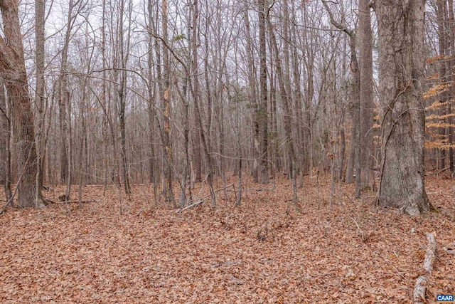 LOT3 Piney Green Rd, Crewe, VA 23930