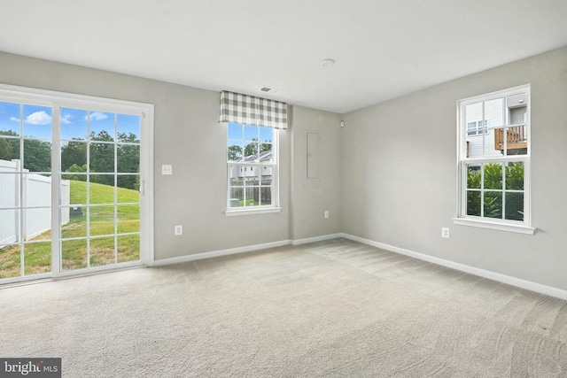 36078 Fawn Ln, Locust Grove, VA 22508 - photo 30