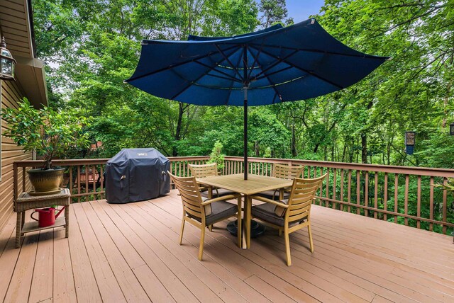 258 Turkey Dr, Mcgaheysville, VA 22840 - photo 21